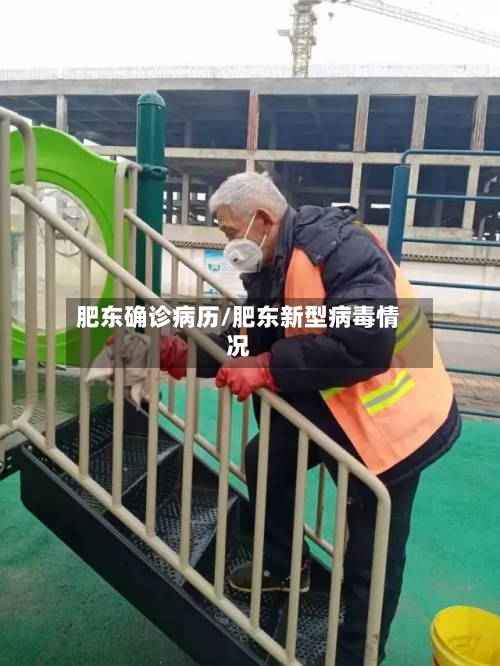 肥东确诊病历/肥东新型病毒情况-第1张图片
