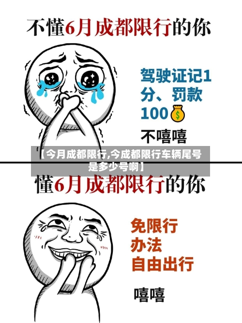 【今月成都限行,今成都限行车辆尾号是多少号啊】-第2张图片