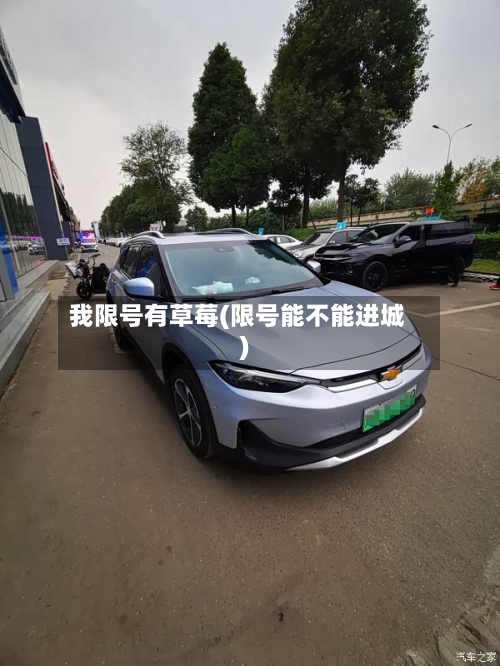 我限号有草莓(限号能不能进城)