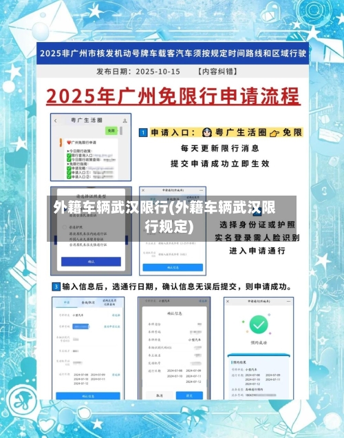 外籍车辆武汉限行(外籍车辆武汉限行规定)-第2张图片