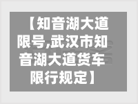 【知音湖大道限号,武汉市知音湖大道货车限行规定】-第3张图片