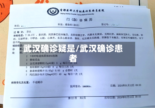 武汉确诊疑是/武汉确诊患者