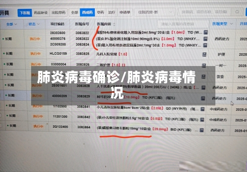 肺炎病毒确诊/肺炎病毒情况-第2张图片