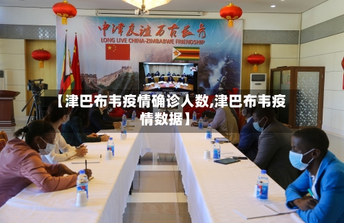 【津巴布韦疫情确诊人数,津巴布韦疫情数据】-第2张图片