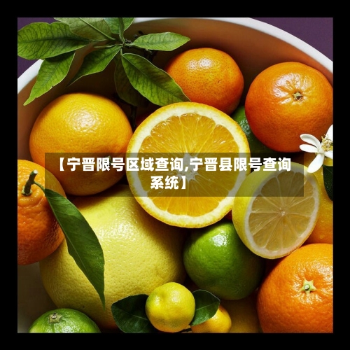 【宁晋限号区域查询,宁晋县限号查询系统】-第3张图片