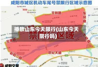 播放山东今天限行(山东今天限行吗)