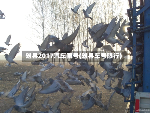 雄县2017汽车限号(雄县车号限行)-第3张图片