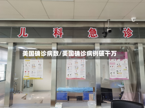 美国确诊病数/美国确诊病例破千万-第3张图片