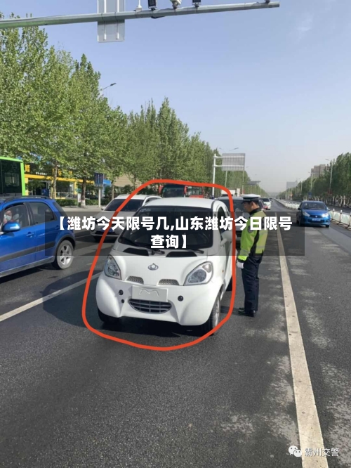 【潍坊今天限号几,山东潍坊今日限号查询】-第3张图片