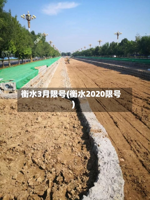衡水3月限号(衡水2020限号)-第2张图片