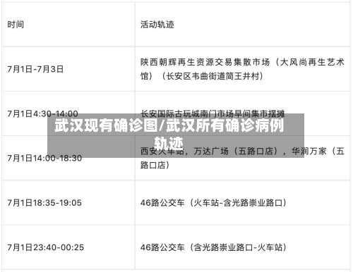 武汉现有确诊图/武汉所有确诊病例轨迹