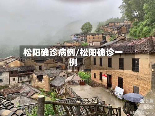 松阳确诊病例/松阳确诊一例