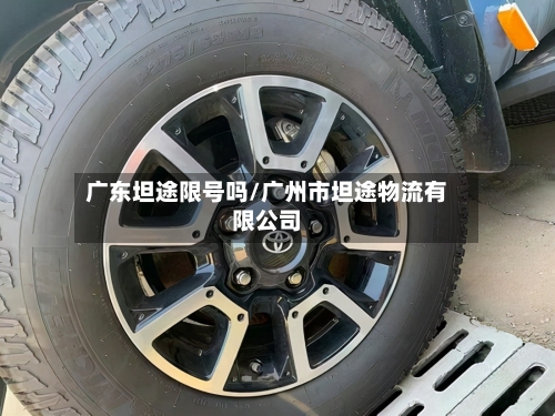 广东坦途限号吗/广州市坦途物流有限公司