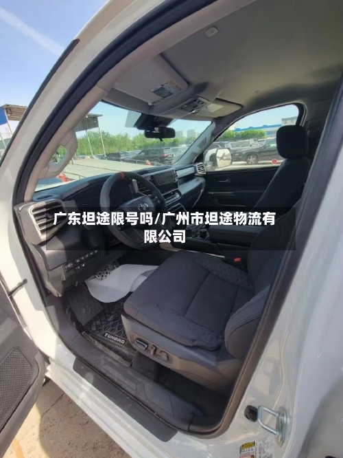 广东坦途限号吗/广州市坦途物流有限公司-第3张图片