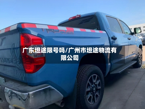广东坦途限号吗/广州市坦途物流有限公司-第2张图片