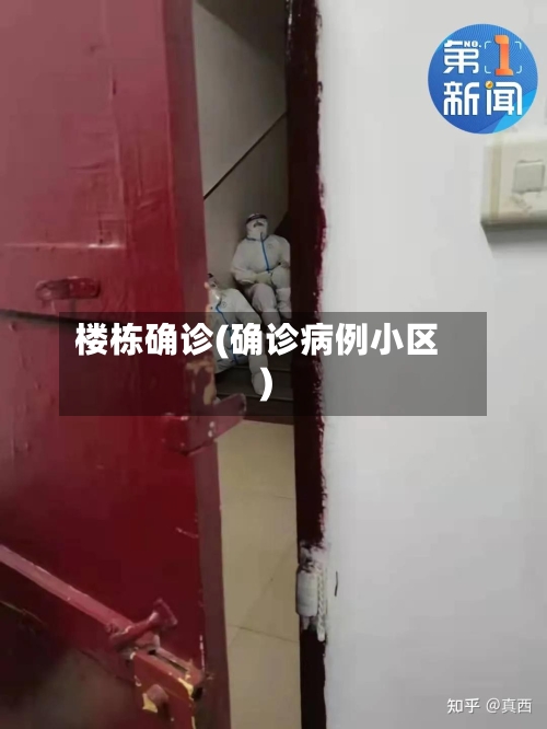 楼栋确诊(确诊病例小区)-第2张图片