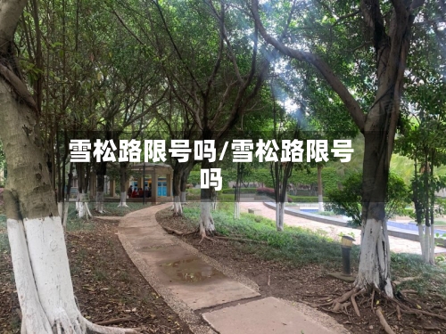 雪松路限号吗/雪松路限号吗-第2张图片