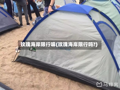 玫瑰海岸限行嘛(玫瑰海岸限行吗?)