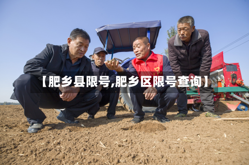 【肥乡县限号,肥乡区限号查询】-第2张图片