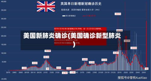 美国新肺炎确诊(美国确诊新型肺炎)