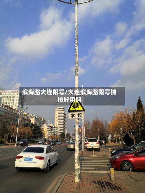 滨海路大连限号/大连滨海路限号抓拍好用吗-第2张图片
