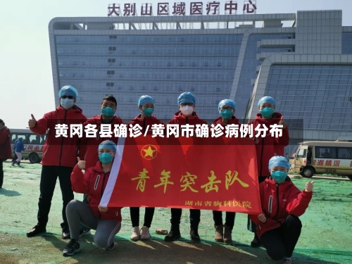 黄冈各县确诊/黄冈市确诊病例分布