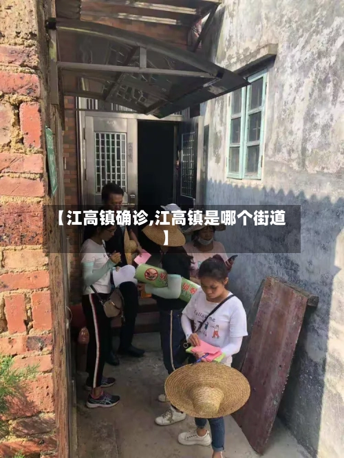 【江高镇确诊,江高镇是哪个街道】