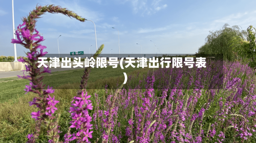 天津出头岭限号(天津出行限号表)