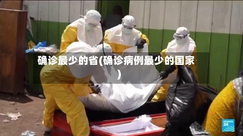 确诊最少的省(确诊病例最少的国家)