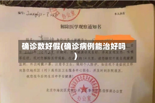 确诊数好假(确诊病例能治好吗)