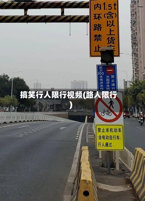 搞笑行人限行视频(路人限行)-第3张图片