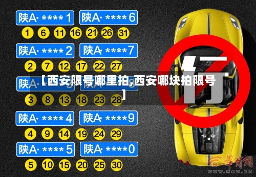 【西安限号哪里拍,西安哪块拍限号】-第3张图片