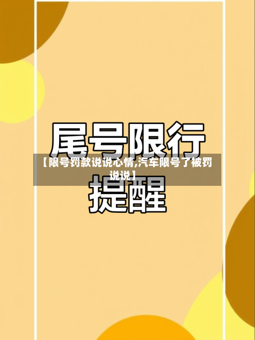 【限号罚款说说心情,汽车限号了被罚说说】-第2张图片