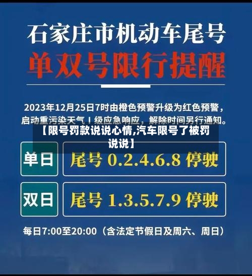 【限号罚款说说心情,汽车限号了被罚说说】