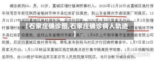 【石家庄确诊图,石家庄确诊病人轨迹】-第2张图片