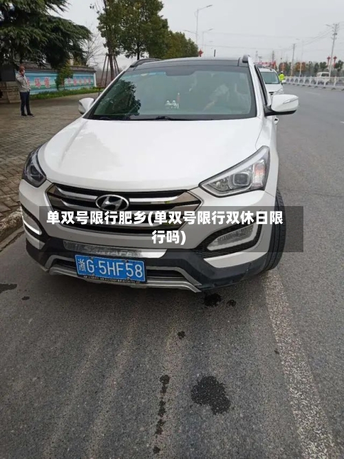 单双号限行肥乡(单双号限行双休日限行吗)