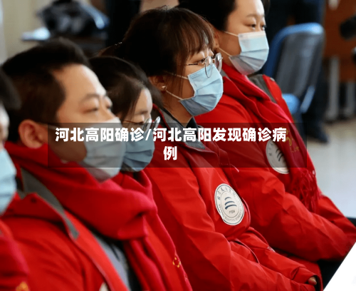 河北高阳确诊/河北高阳发现确诊病例-第2张图片