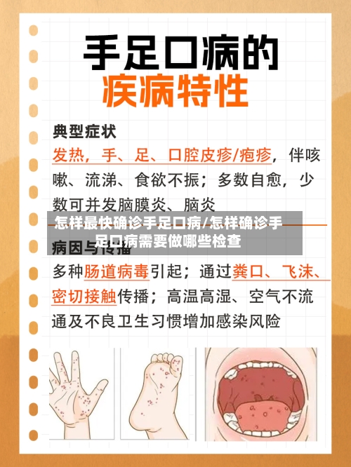 怎样最快确诊手足口病/怎样确诊手足口病需要做哪些检查-第3张图片