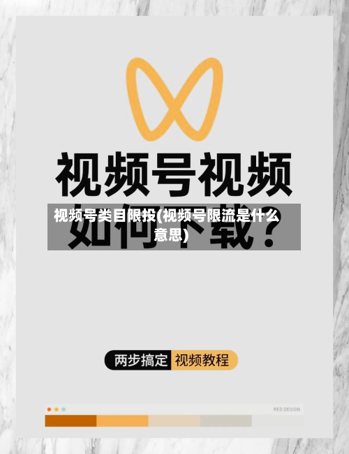 视频号类目限投(视频号限流是什么意思)-第2张图片