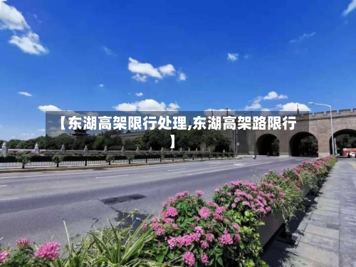 【东湖高架限行处理,东湖高架路限行】
