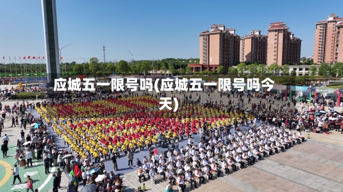 应城五一限号吗(应城五一限号吗今天)-第2张图片