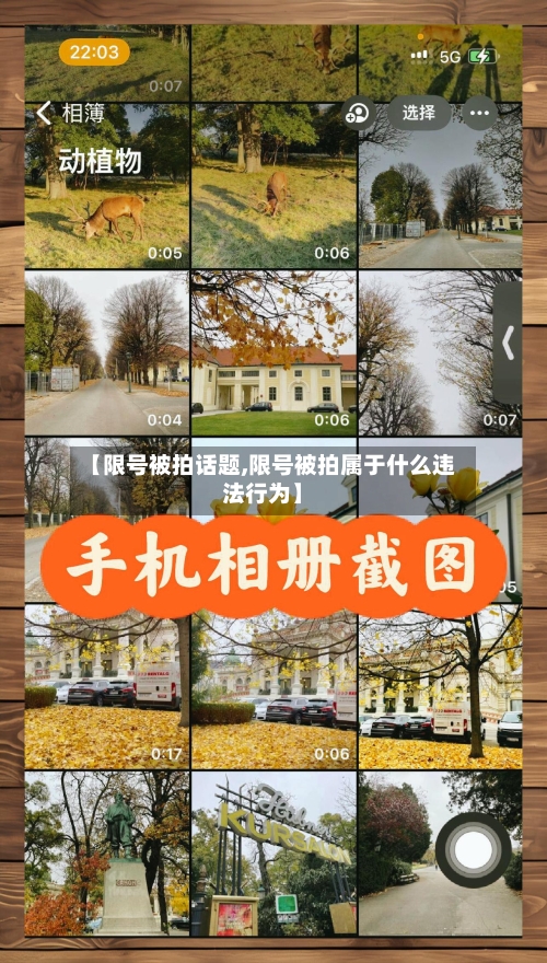 【限号被拍话题,限号被拍属于什么违法行为】-第3张图片