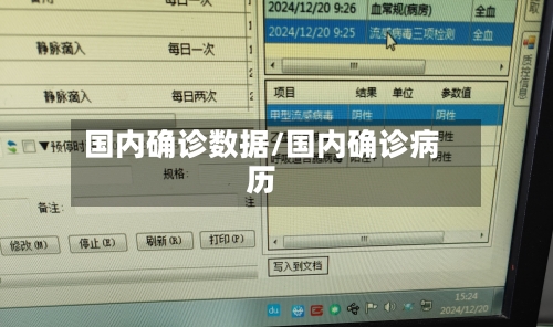 国内确诊数据/国内确诊病历