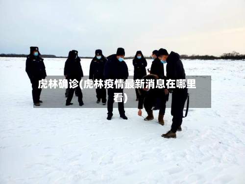 虎林确诊(虎林疫情最新消息在哪里看)-第3张图片