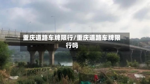 重庆道路车牌限行/重庆道路车牌限行吗