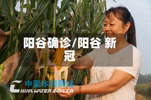 阳谷确诊/阳谷 新冠-第2张图片
