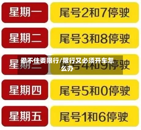 忍不住要限行/限行又必须开车怎么办