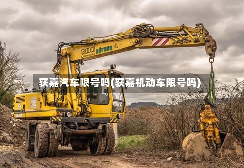 获嘉汽车限号吗(获嘉机动车限号吗)-第2张图片