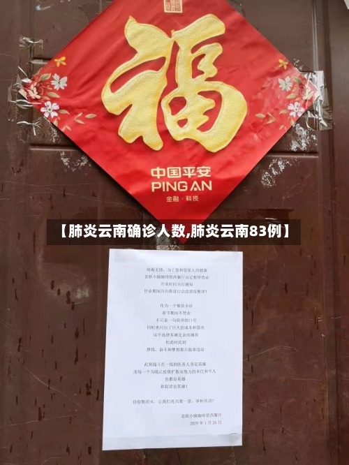 【肺炎云南确诊人数,肺炎云南83例】