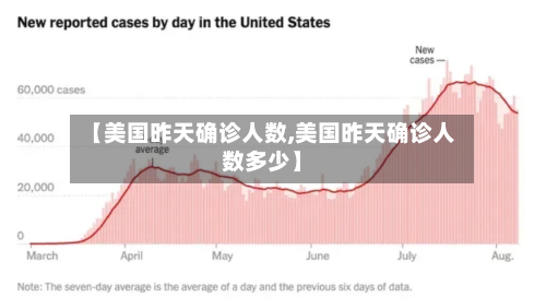 【美国昨天确诊人数,美国昨天确诊人数多少】-第3张图片